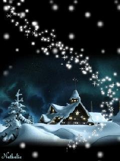 Winter Night