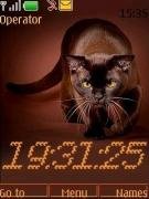 choco-cat swf
