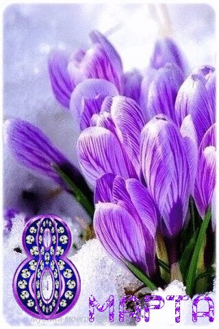 file_92748715