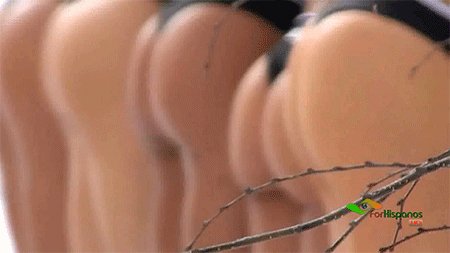 krasivie jenskie popki vistroilis v rjad
