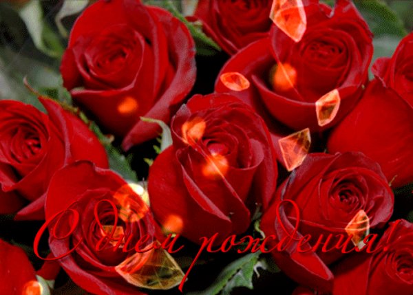 file_74639974