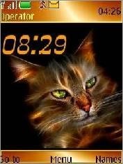cat swf