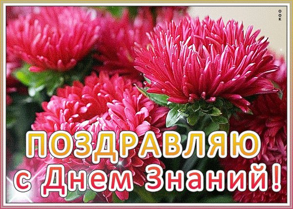 Анимированная открытка 1 сентября поздравляю