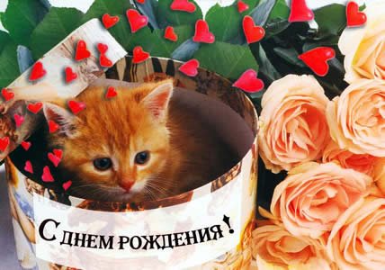 file_81299727