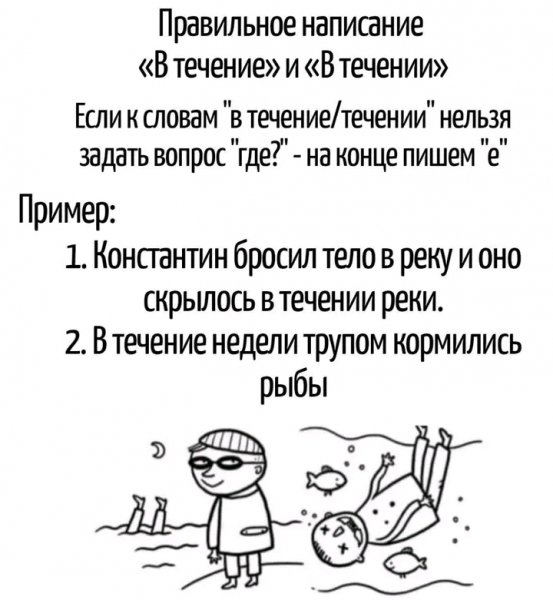 file_103370541