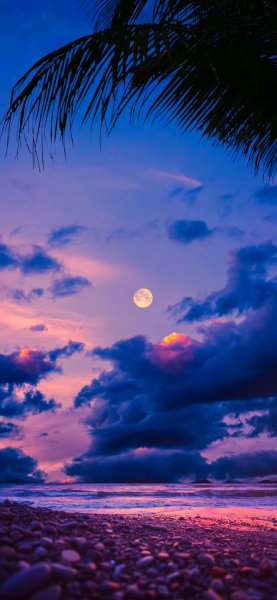 file_91875763
