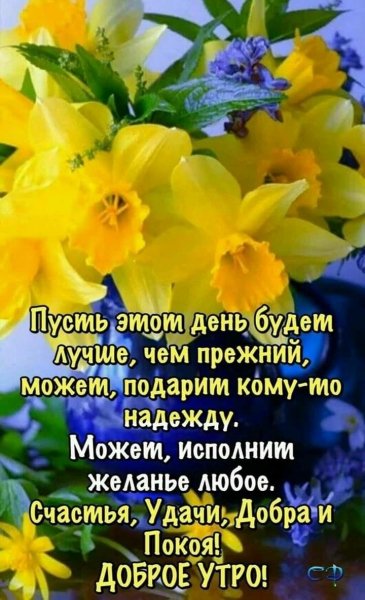 Доброе утро