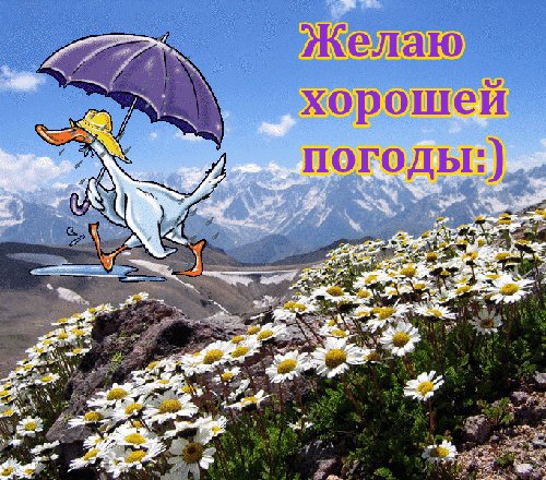 zhelayu-xoroshej-pogody