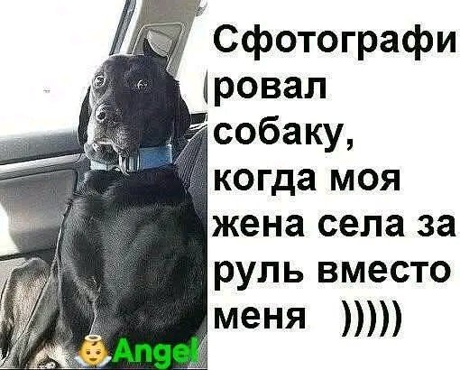file_102930901