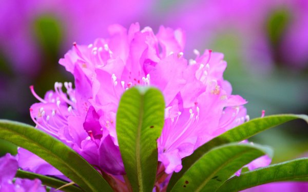 file_90527128