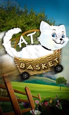 cat basket