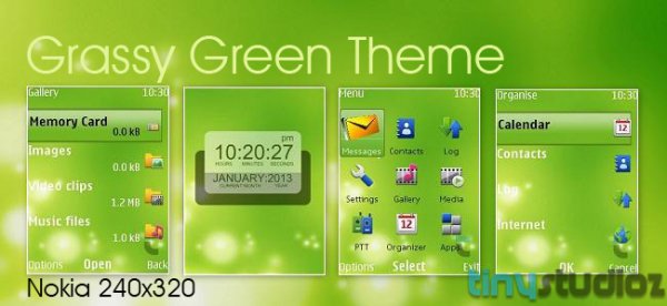 Grassy-Green-X2-Tinystudioz
