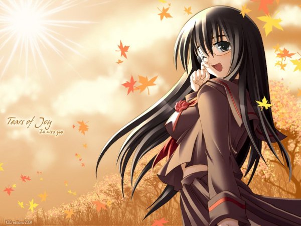 Tsurugi Hagane - tears of joy