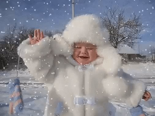 gif 1482871409