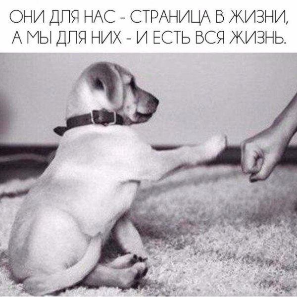 DcM-G6pXUAIQHFT