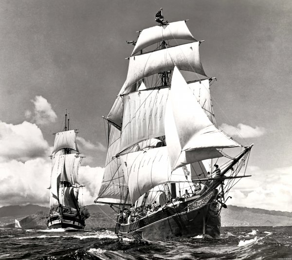 IMG viter59 Thetis