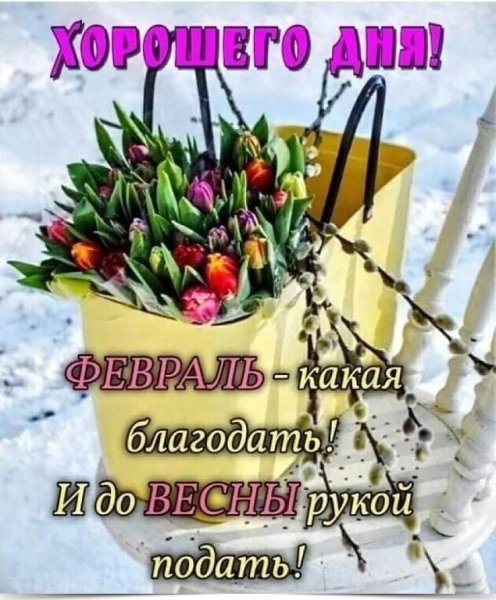 IMG 20240212 003809