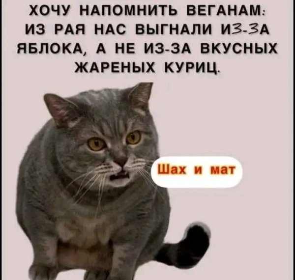file_103093195