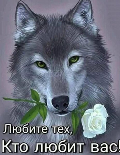 IMG 20190702 174551 135