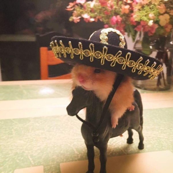 daily picdump 003103 008