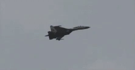 SU-27 Вертел я вашу физику..)))