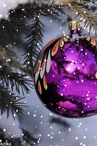 file_79844657