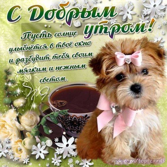 С добрым утром