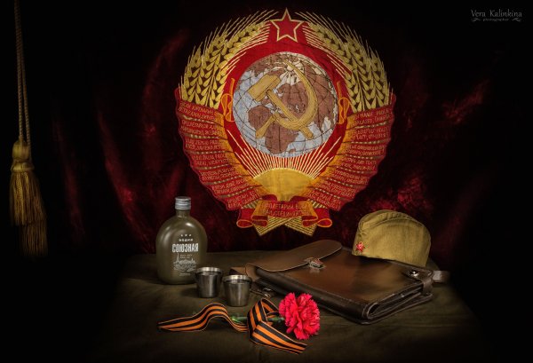 На столе стоит фляга, две чашки, пилотка, планшет, цветок и Г