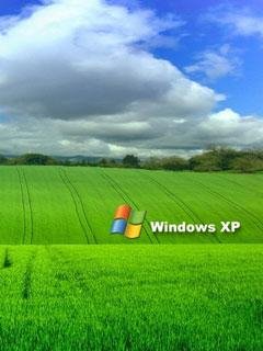 Windows Xp