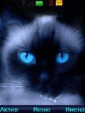 kote