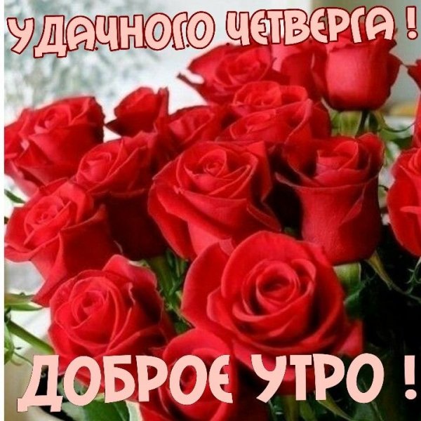 file_89596393