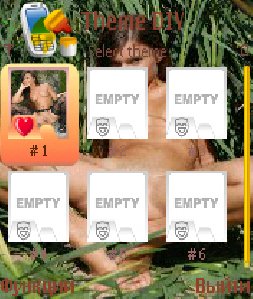 Zensis.Theme.DIY.v1.2.0.S60v3.SymbianOS9