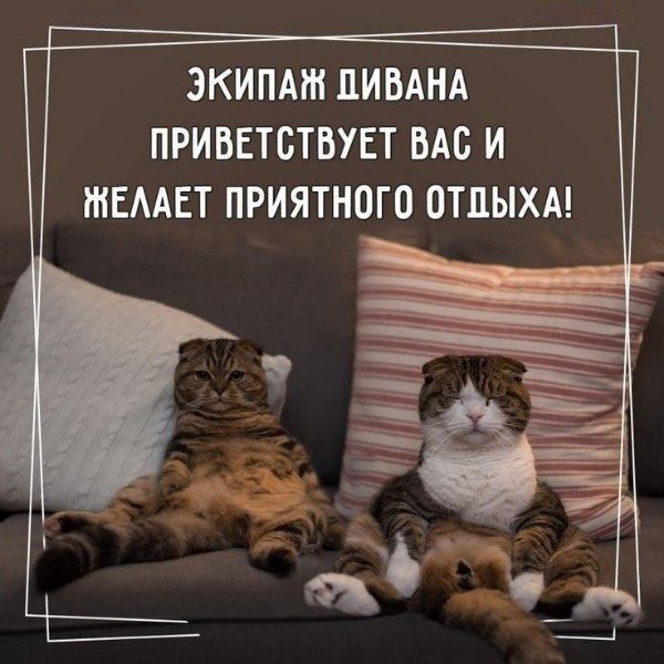 file_95103546