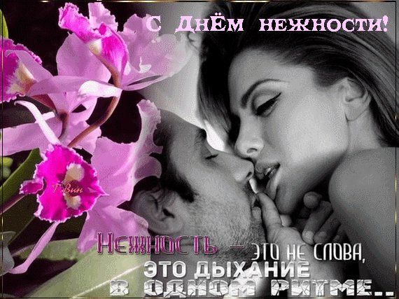 Анимированная открытка с днём нежности (3)