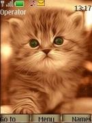 kittens swf