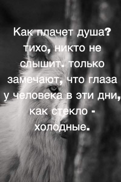 Хорошо сказано