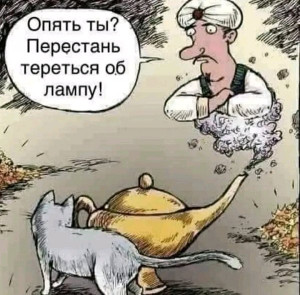 file_103063513