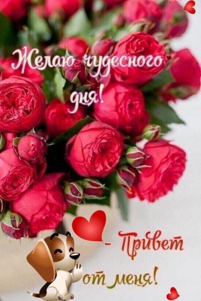 file_92072940