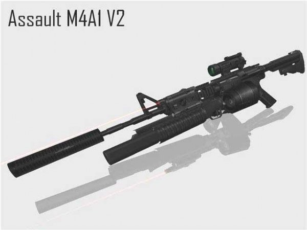 53 assault m4a1