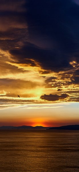 file_91448536