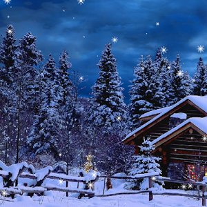 Snow Live Wallpaper - v.1.2