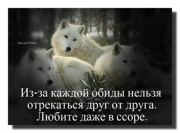 image (13)