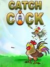 catch cock