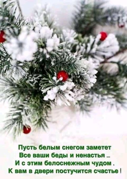 FB IMG 16089128522464741