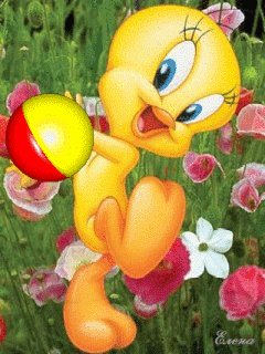 pic (20)