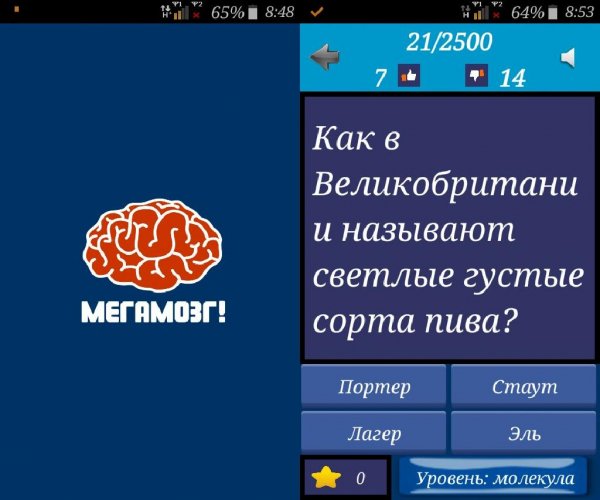 Megamozg