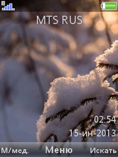 Winter