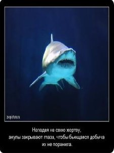 Tvari
