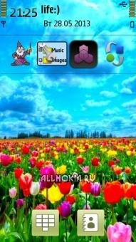 Tulips Field In Holland by Mohnatyj