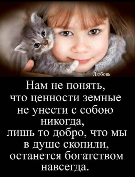 file_87991763